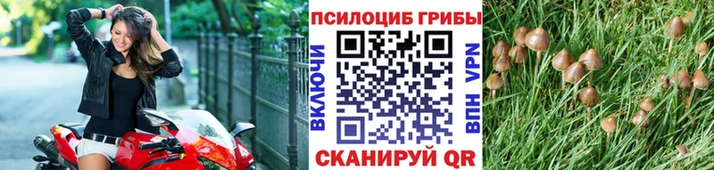 ссылка на мегу сайт  продажа наркотиков  Чайковский  Псилоцибиновые грибы Magic Shrooms 
