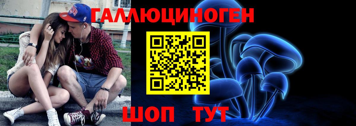 Псилоцибиновые грибы Psilocybe  Вход с VPN  Псилоцибиновые грибы мицелий  Чайковский 