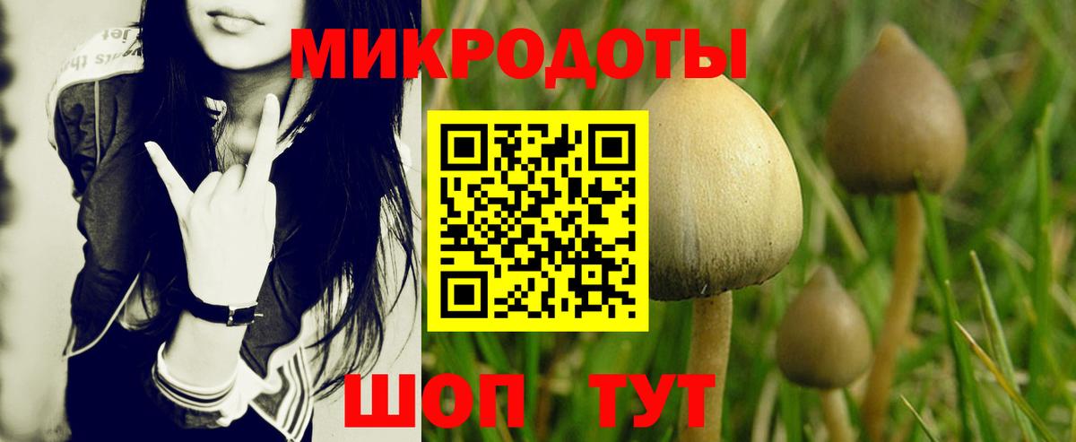 Псилоцибиновые грибы Cubensis Чайковский